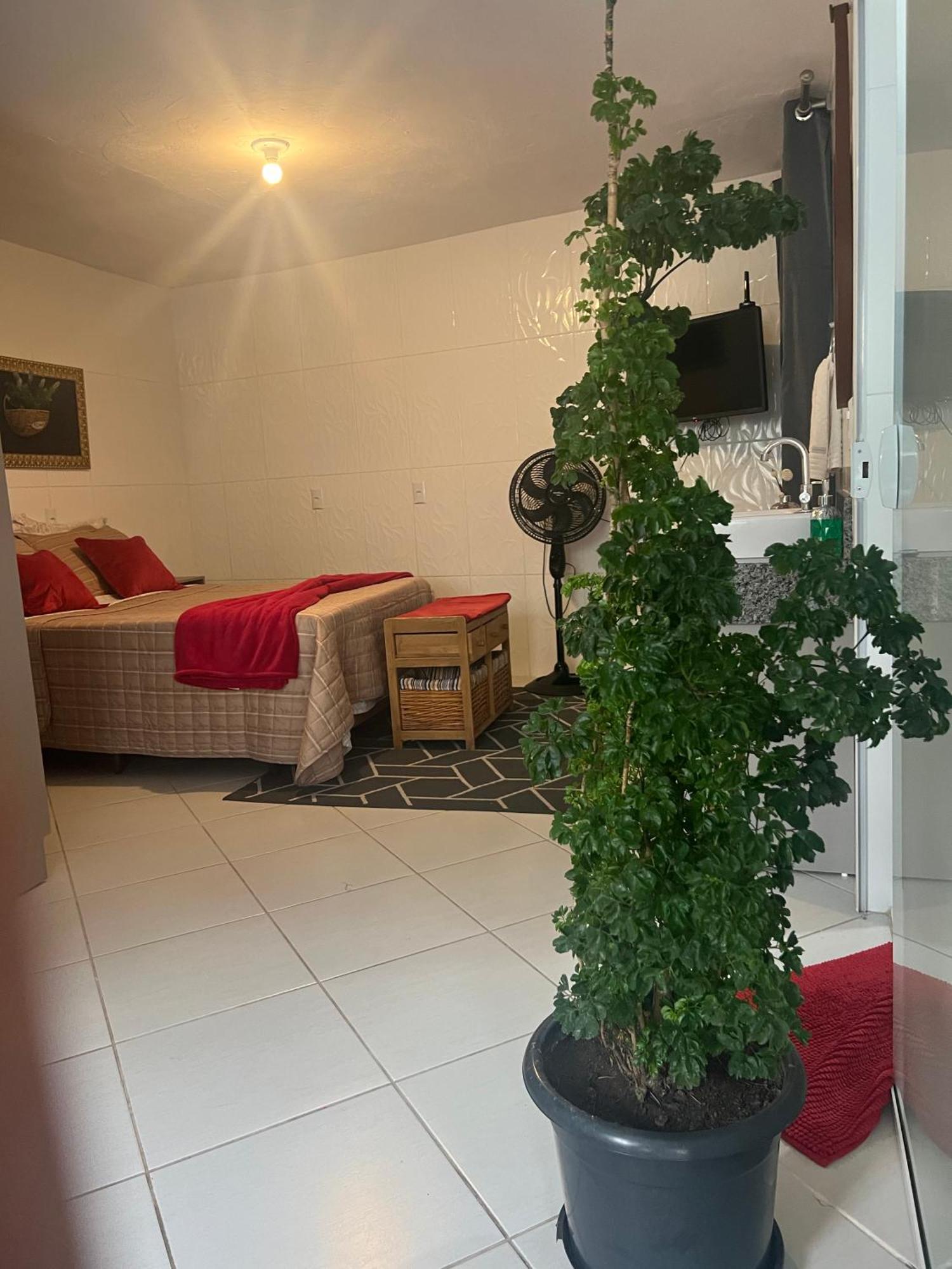 Hospedagem Confortavel E Pratica Para Viajantes E Ferias - Proxima A Br-101 Sao Jose  Esterno foto